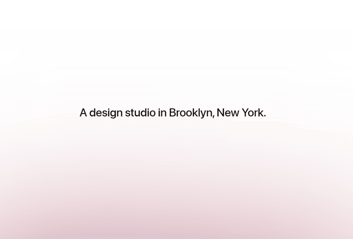 molly - design studio in NY